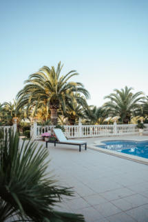 Pool, Sonnenliege, Palmen, Datteln, Mallorca